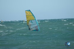 20240329-Roses-Sud-133.jpg
