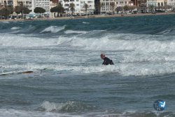 20240329-Roses-Sud-166.jpg