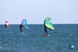 20220122-Franqui-wing-091.JPG
