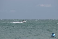 20240501-franqui-178.jpg