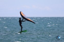 20240507-Franqui-ouest-026.jpg
