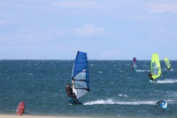 20240507-Franqui-ouest-210.jpg