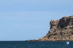 20240507-Franqui-ouest-232.jpg