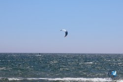 20240510-Rubina-017.jpg