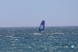 20240510-Rubina-057.jpg