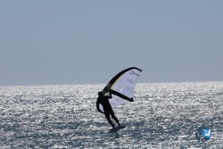 20240601-Franqui-010.jpg
