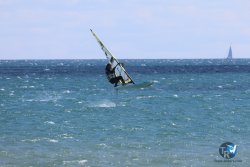 20240601-Franqui-028.jpg