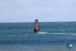 20240601-Franqui-032.jpg