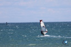 20240601-Franqui-034.jpg