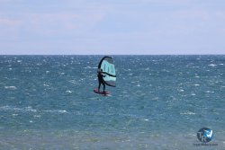 20240601-Franqui-035.jpg