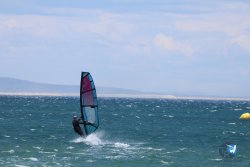 20240601-Franqui-072.jpg