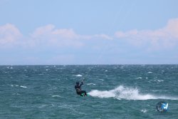 20240601-Franqui-150.jpg