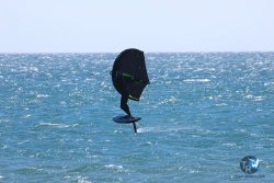 20240602-Franqui-001.jpg