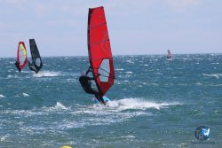 20240602-Franqui-010.jpg
