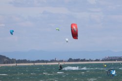 20240602-Franqui-085.jpg