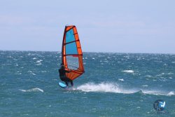 20240602-Franqui-201.jpg