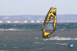 20220205-Franqui-149.JPG