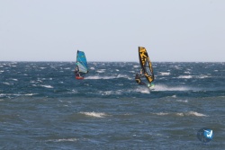 20220205-Franqui-151.JPG