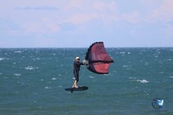 20240621-Franqui-008.jpg