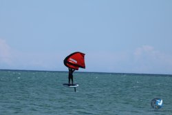 20240621-Franqui-077.jpg