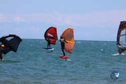 20240621-Franqui-078.jpg