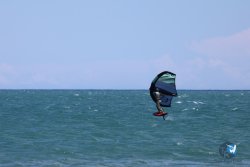 20240621-Franqui-084.jpg