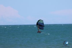 20240621-Franqui-089.jpg