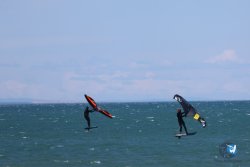 20240621-Franqui-122.jpg