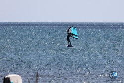 20240622-Franqui-002.jpg