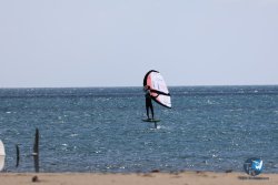 20240622-Franqui-005.jpg