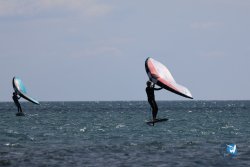 20240622-Franqui-011.jpg