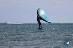 20240622-Franqui-013.jpg
