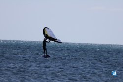 20240622-Franqui-024.jpg