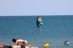 20240622-Franqui-041.jpg