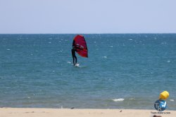 20240622-Franqui-042.jpg