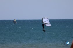 20240622-Franqui-043.jpg