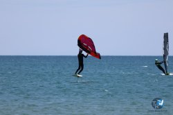 20240622-Franqui-082.jpg