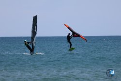 20240622-Franqui-084.jpg