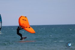 20240622-Franqui-093.jpg