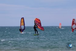 20240622-Franqui-132.jpg