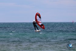 20240622-Franqui-157.jpg