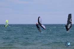 20240622-Franqui-179.jpg