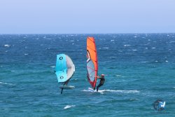 20240728-Argeles-016.jpg