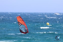 20240728-Argeles-029.jpg