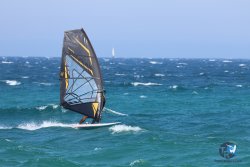 20240728-Argeles-068.jpg