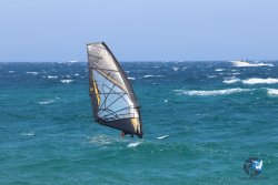 20240728-Argeles-069.jpg