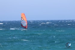 20240728-Argeles-083.jpg