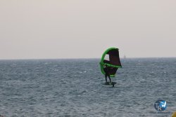20240802-Franqui-004.jpg
