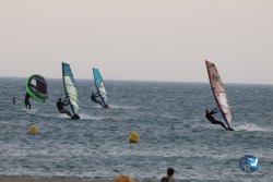 20240802-Franqui-006.jpg