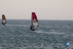 20240802-Franqui-016.jpg